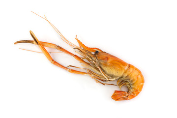 grilled shrimp isolated on white background