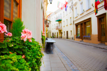 flowers on th street in Vilnus