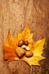 various kinds of nuts - dried fruit - hazelnuts, peanuts, walnuts, over wooden background with autumn leaf