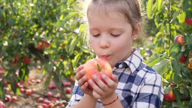 Cute child girl portrait stay in apple tree garden outdoors eating ripe juicy fruits