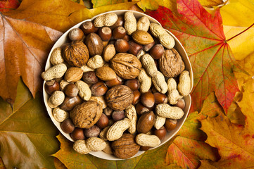 various kinds of nuts - dried fruit - hazelnuts, peanuts, walnuts, over wooden background with autumn leaf