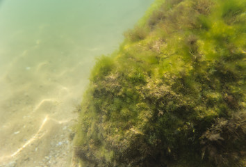 seabed, underwater photography