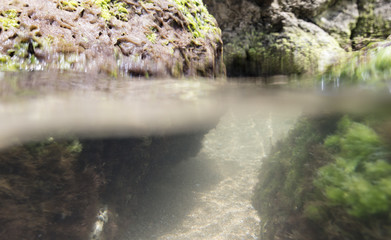 seabed, underwater photography