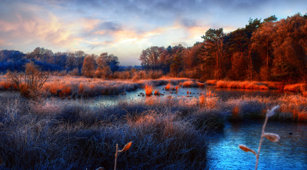 morning winter 4