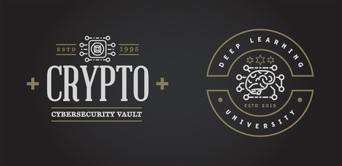 Set of Vector Cyber Security Identity Badges and Signs Can be used as Logotype