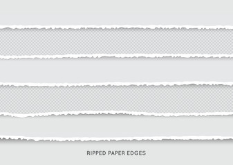 Set of Ripped and Torn Paper Stripes. Texture of Paper with Damaged Edge Isolated on Transparent background. Vector illustration.