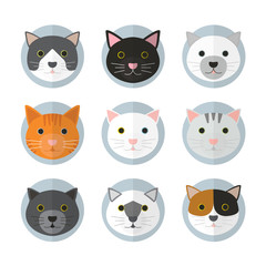 Cat faces in many breeds. With blue circle layers and plain background. Flat design style.