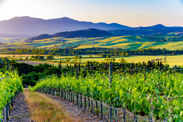 country hills in springtime in Tuscany, Italy