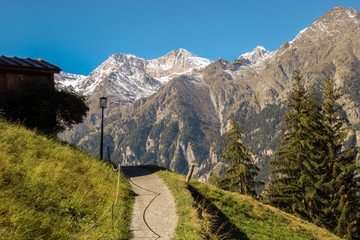 Obraz premium Grachen on a clear autumn day (Valais, Switzerland). The village is situated at an altitude of 1,620 meters on a terrace above St. Niklaus in the Mattertal, north of the Mischabel range (and Dom).
