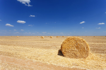 Endless fields of hay bails