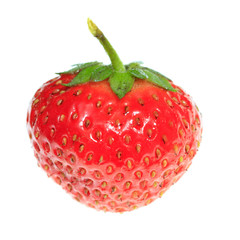 One ripe strawberry on a white background