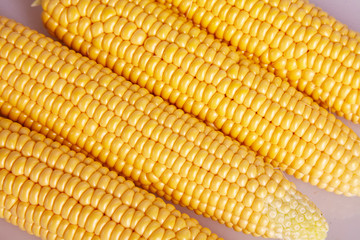 Fresh yellow corn cobs close up. Fresh vegetables.