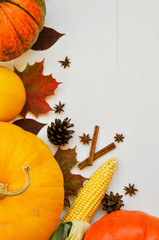 Yellow and orange pumpkins and corn with autumn decor on white wooden background for harvest fall...