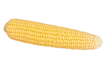 Fresh yellow corn cobs isolated on white background. Fresh vegetables.