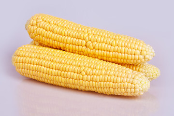 Fresh yellow corn cobs isolated on white background. Fresh vegetables.