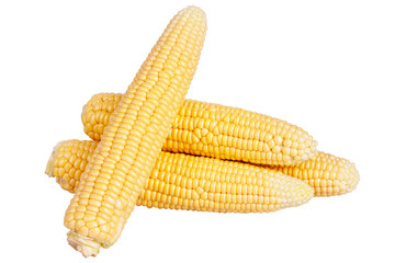 Fresh yellow corn cobs isolated on white background. Fresh vegetables.