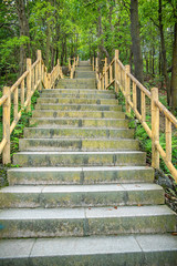 Mountaineering trail of Shenzhen Yangtaishan Forest Park