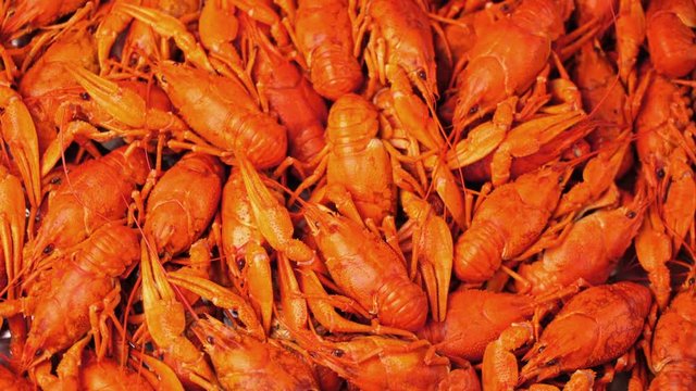 Footage red boiled crawfish closeup rotate on a tray.