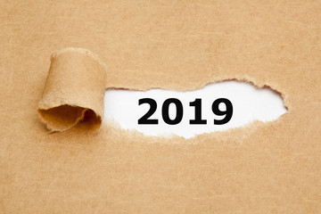 New Year 2019 Ripped Paper Concept