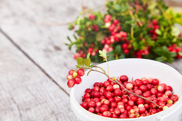 Vaccinium vitis-idaea (berries of wild cowberry) on a wooden natural background
