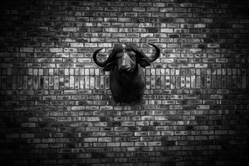 buffalo on brick wall