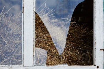 Broken glass in an old window of the  hayloft