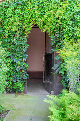 Fototapeta na wymiar Entrance to the house, doors overgrown with wild grapes, green leaves