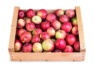 red apples in a box