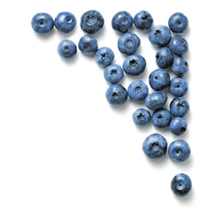 blueberries isolated on white background