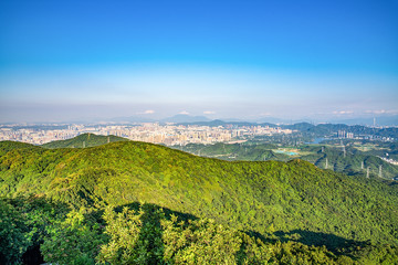 Fototapeta premium Shenzhen's forests and cities