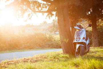 Fototapety na wymiar - Fototapeta24.pl