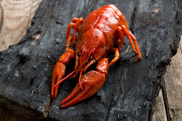 Boiled cooked crayfish crawfish ready to eat on black wooden rustic background.