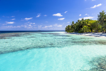 インド洋の美しいサンゴ礁の海
