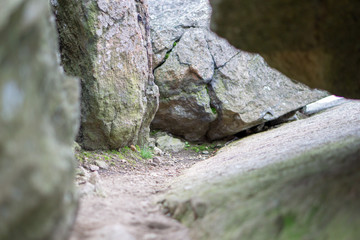 rocks