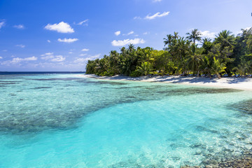インド洋の美しいサンゴ礁の海