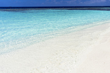 Obraz premium インド洋の美しいサンゴ礁の海