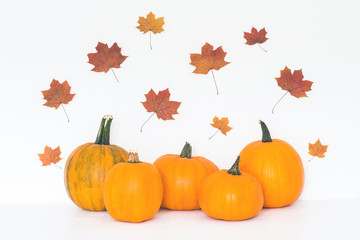 Autumn orange pumpkin, dried maple leaves, pine cones on white background. Halloween, copy space.