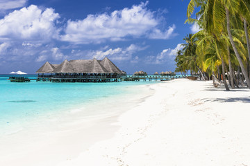 インド洋の美しいサンゴ礁の海