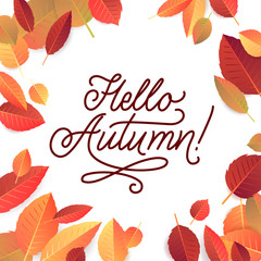 Autumn Lettering. Hand Written Typography on White Background. Vector Illustration for Your Design.