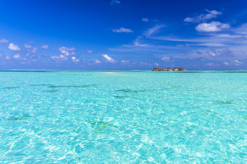 インド洋の美しいサンゴ礁の海