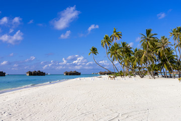 インド洋の美しいサンゴ礁の海