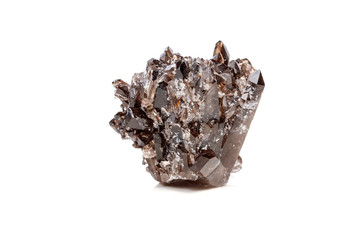 Macro mineral stone Morion crystal in the rock a white background