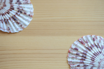 Wooden background with sea shells close up