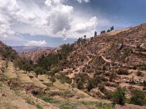  terraces, dirt roads, bushes and trees, sky with white clouds in the background, location in the vicinity of the city of Cusco, Peru.