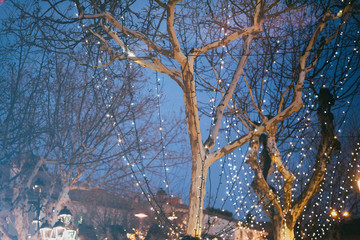 Night festive illumination on the trees, on the background of the sunset sky, city New Year's and Christmas background