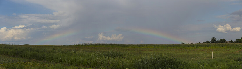Fototapeta na wymiar Corn field in the countryside. Rainbow after a thunderstorm.