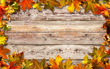 Bright autumn leaves old wooden surface