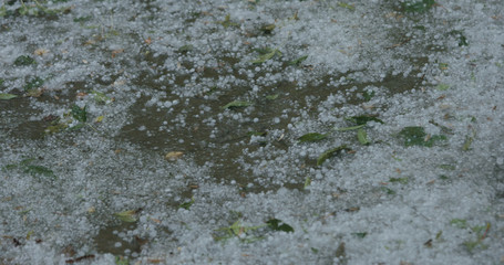 closeup of hailstones falling on the pavement during strong hailstorm