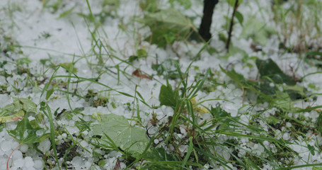 closeup of hailstones on the grass after strong hailstorm