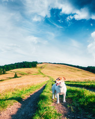 Fototapety na wymiar - Fototapeta24.pl